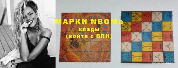 прущие грибы Ростов