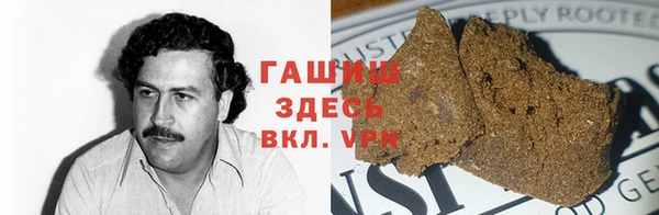 прущие грибы Ростов
