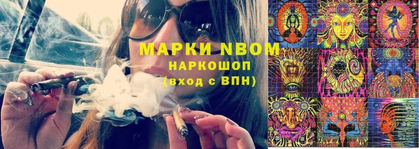 прущие грибы Ростов
