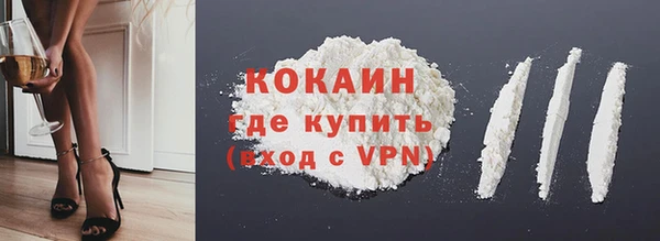 прущие грибы Приозерск