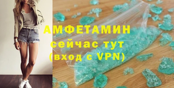 прущие грибы Приозерск