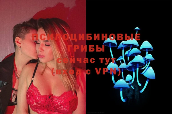 прущие грибы Ростов