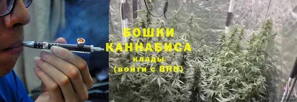 прущие грибы Ростов