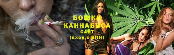 прущие грибы Ростов