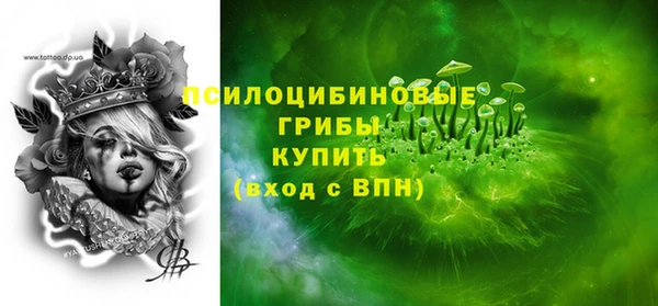 прущие грибы Ростов