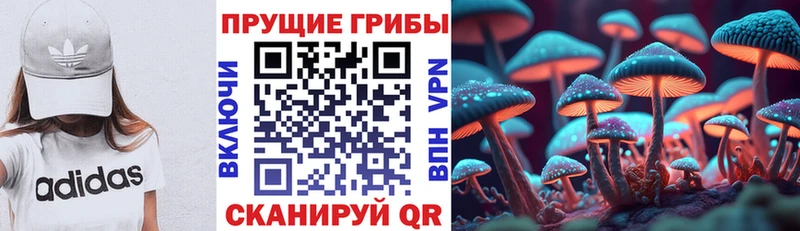 Купить закладки  Лысково  Псилоцибиновые грибы MAGIC MUSHROOMS 